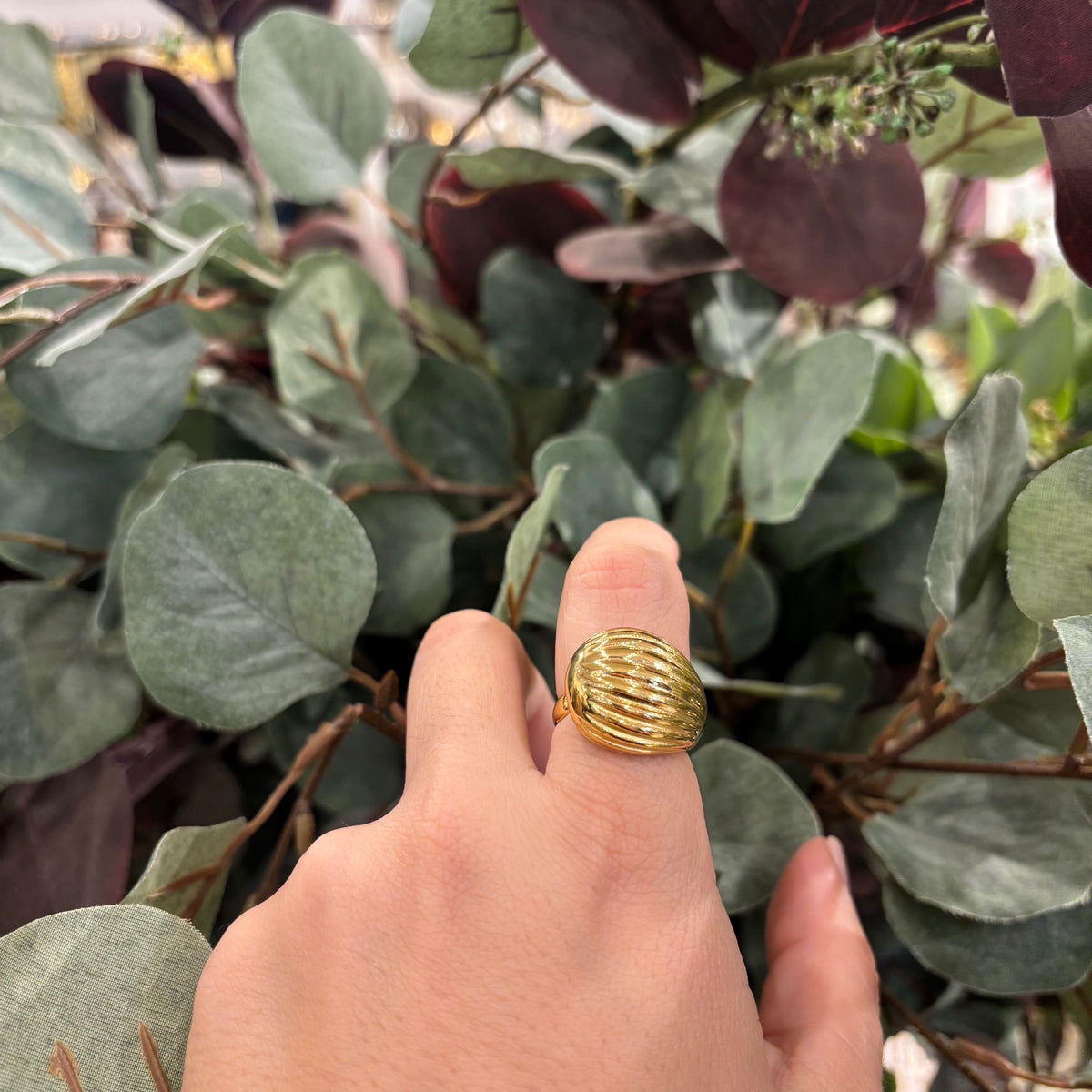 ANILLO RAYADO