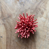 BROCHE GRANDE CORAL SALMON