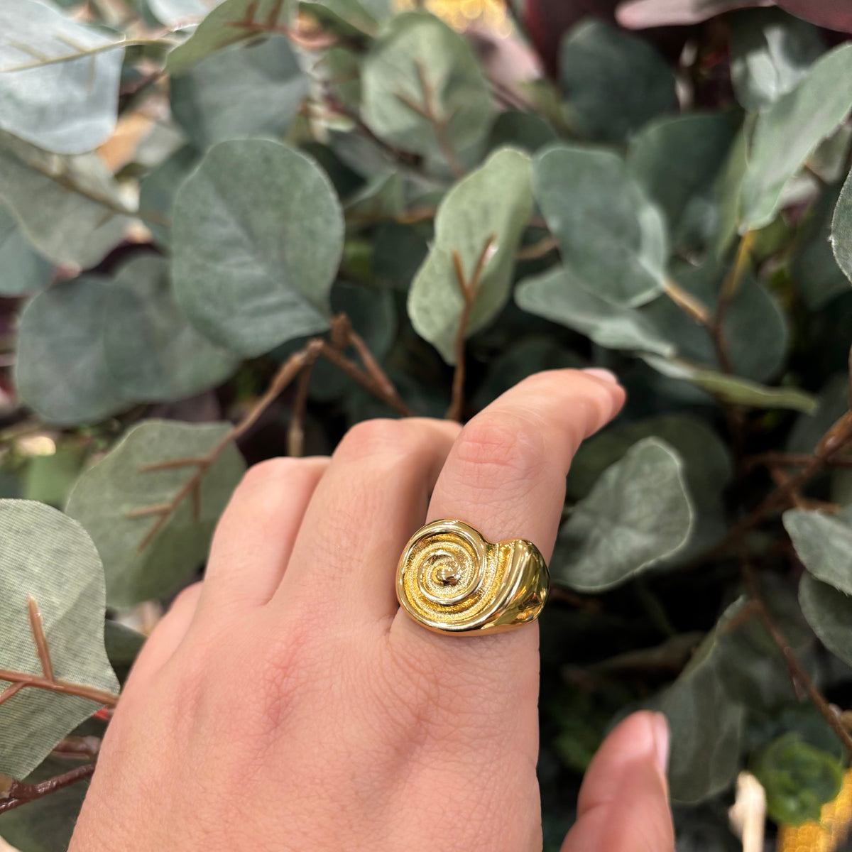 ANILLO CARACOLA
