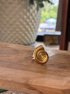 ANILLO CARACOL