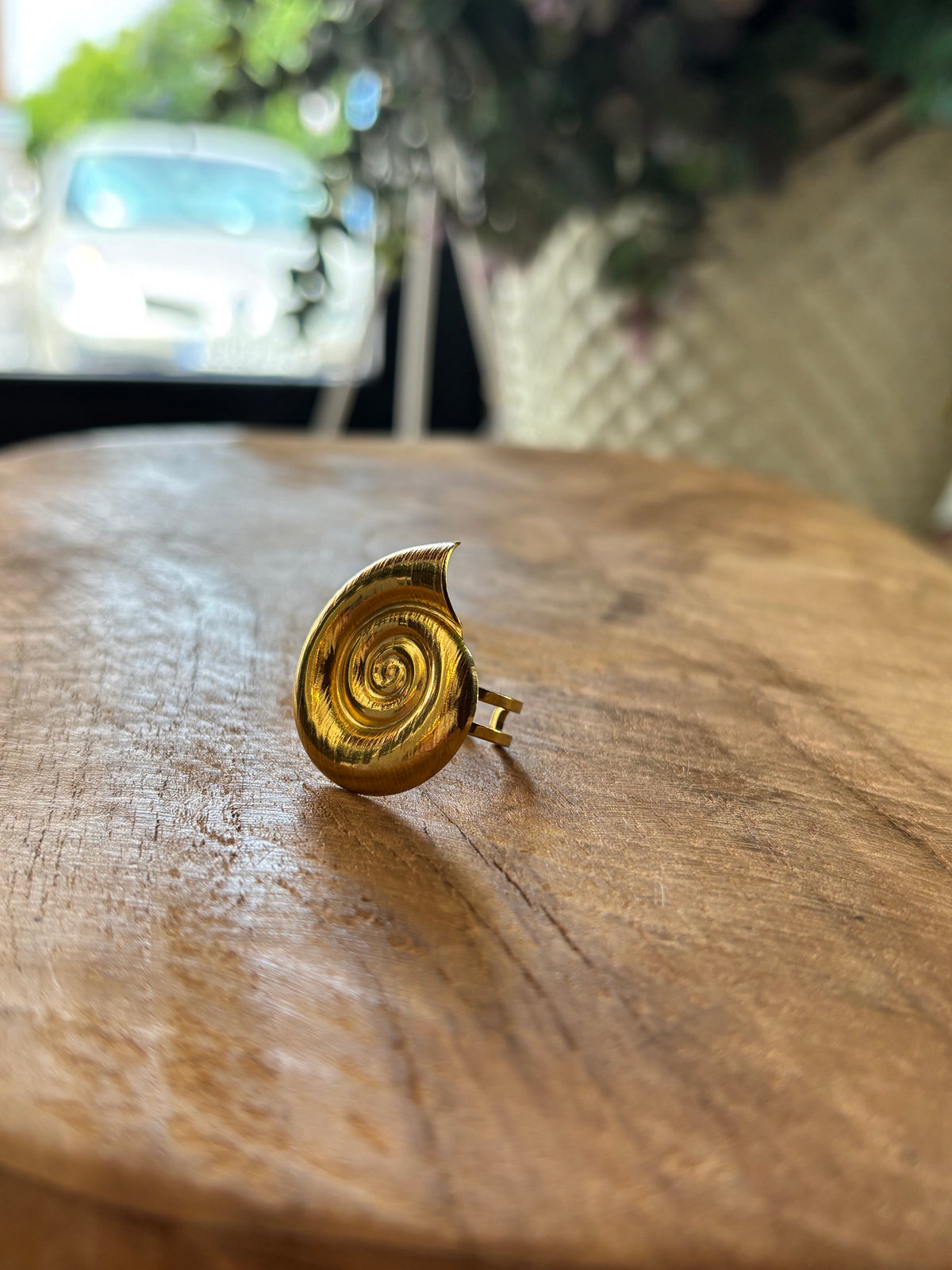 ANILLO CARACOL