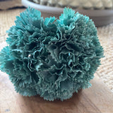 RAMILLETE DE CLAVELES TURQUESA