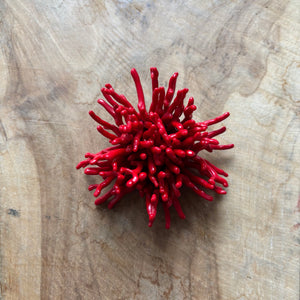 BROCHE GRANDE CORAL ROJO