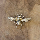 BROCHE AVISPA