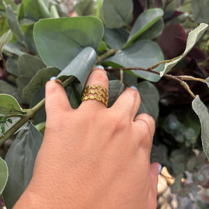 ANILLO CIRCULOS PEQUEÑOS