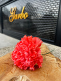 CLAVEL CORAL