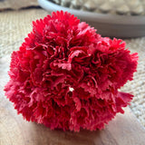 RAMILLETE DE CLAVELES CORAL