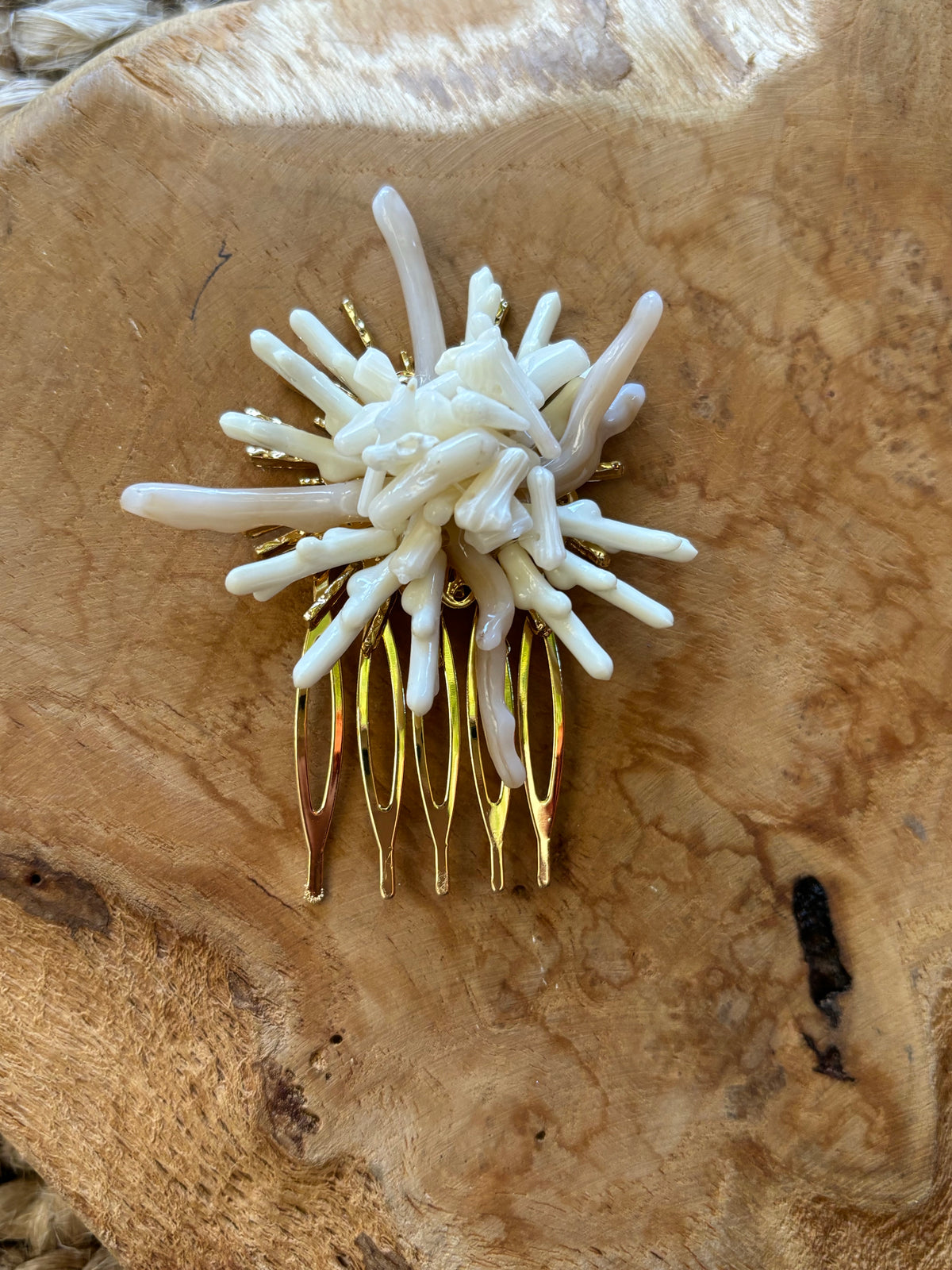 PEINECILLO CORAL BLANCO
