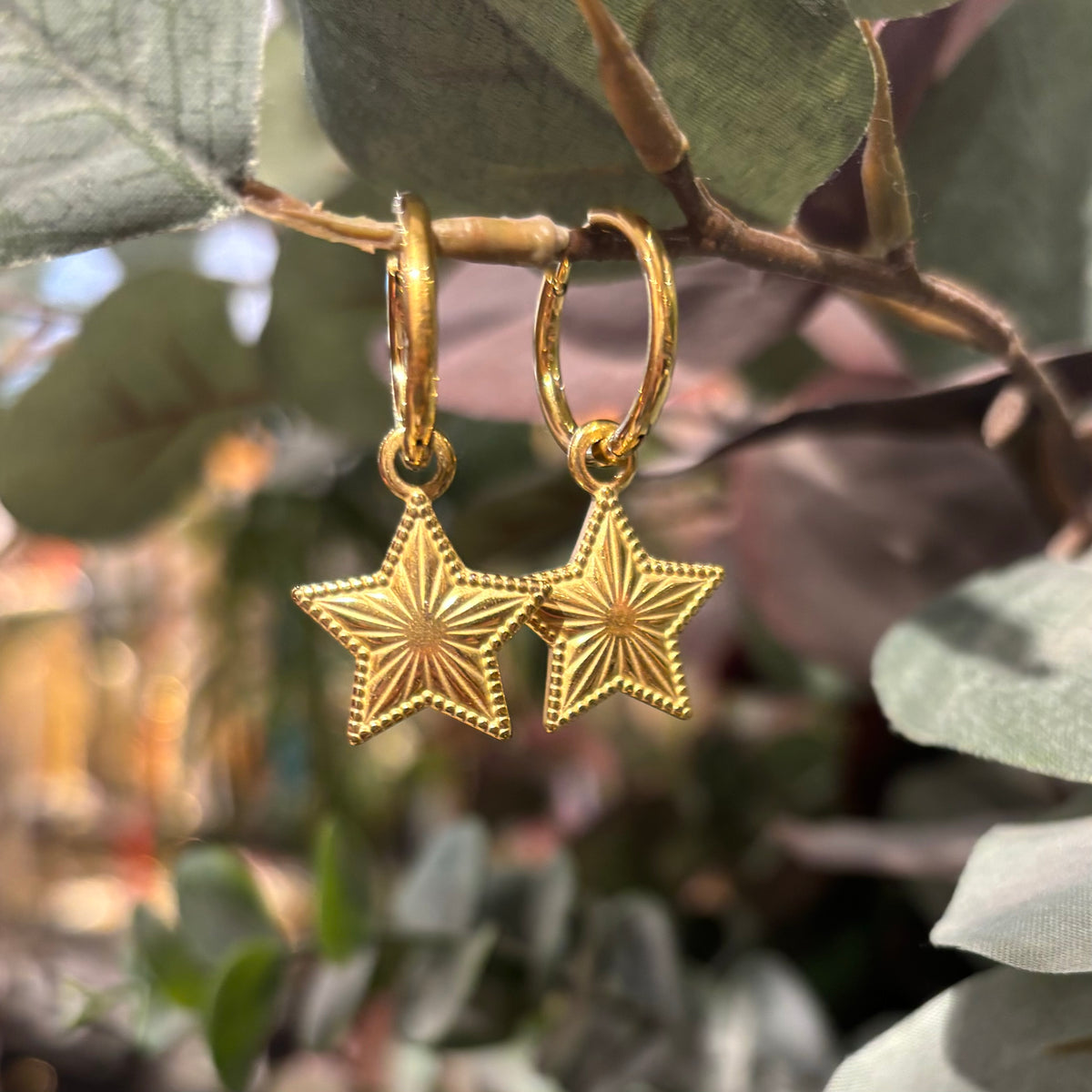 ARO ESTRELLA  LABRADA