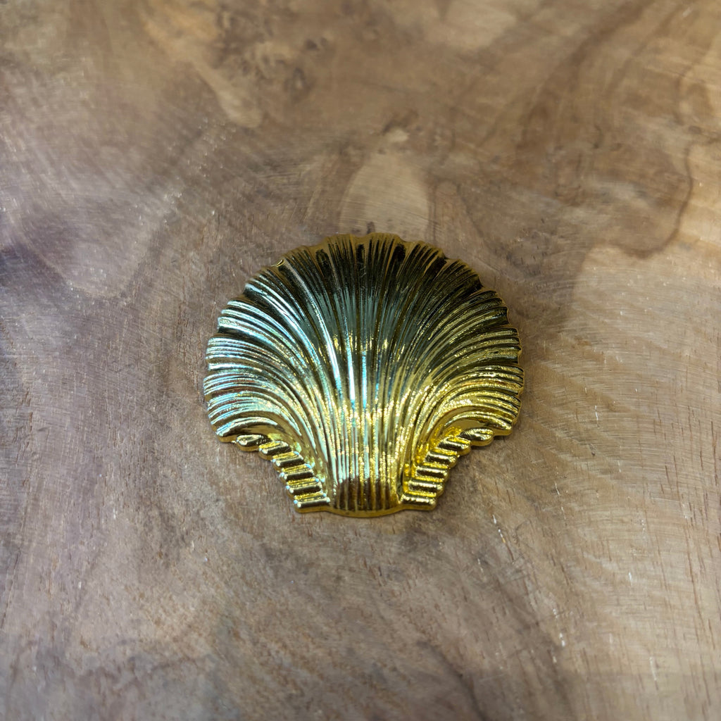 BROCHE ALMEJA