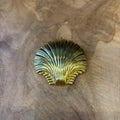 BROCHE ALMEJA