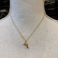 CADENA DELFIN