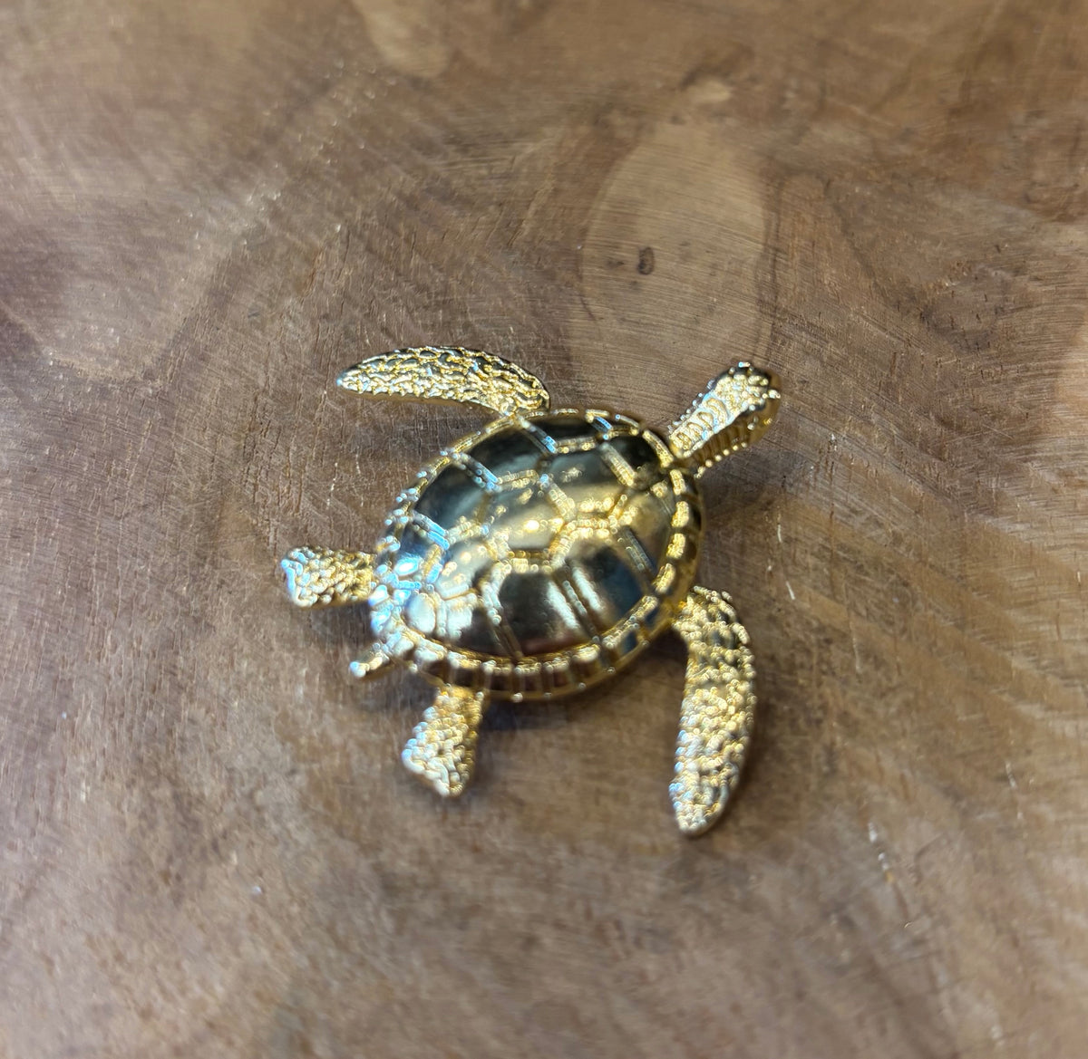 BROCHE TORTUGA