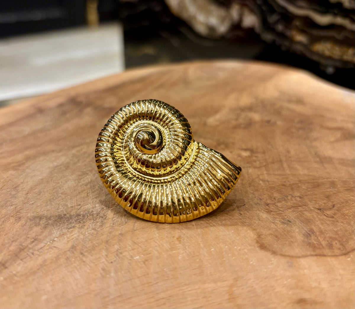ANILLO CARACOL