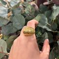 ANILLO CAPARAZON