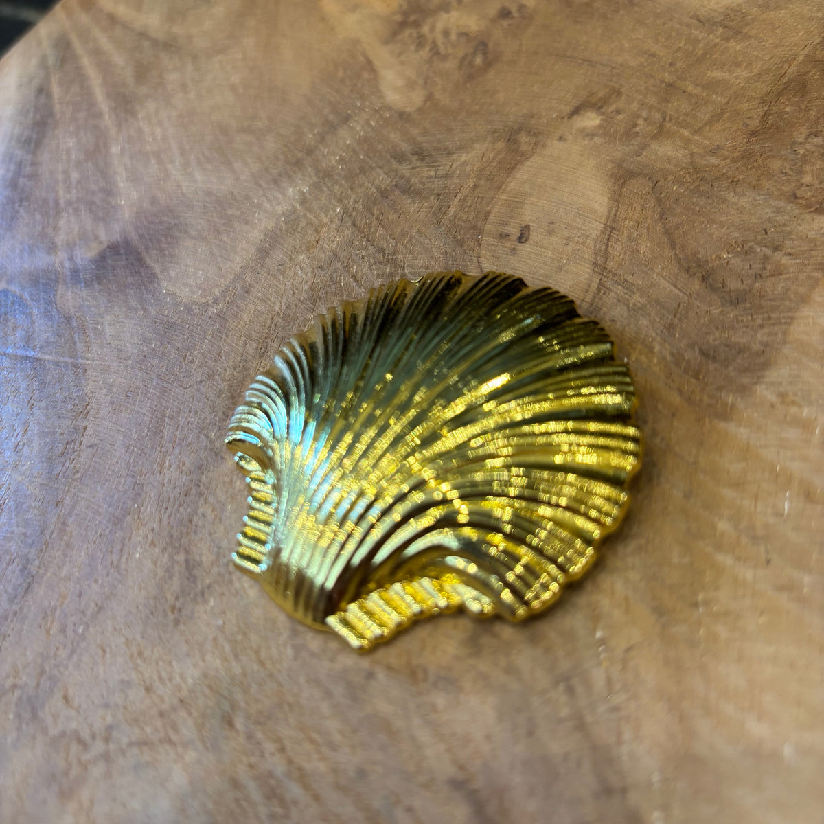 BROCHE ALMEJA