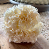 RAMILLETE DE CLAVELES BEIGE