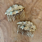 PEINECILLO GRANDE HOJA