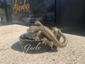 CINTURÓN TRITÓN DORADO