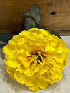 FLOR FLAMENCA
