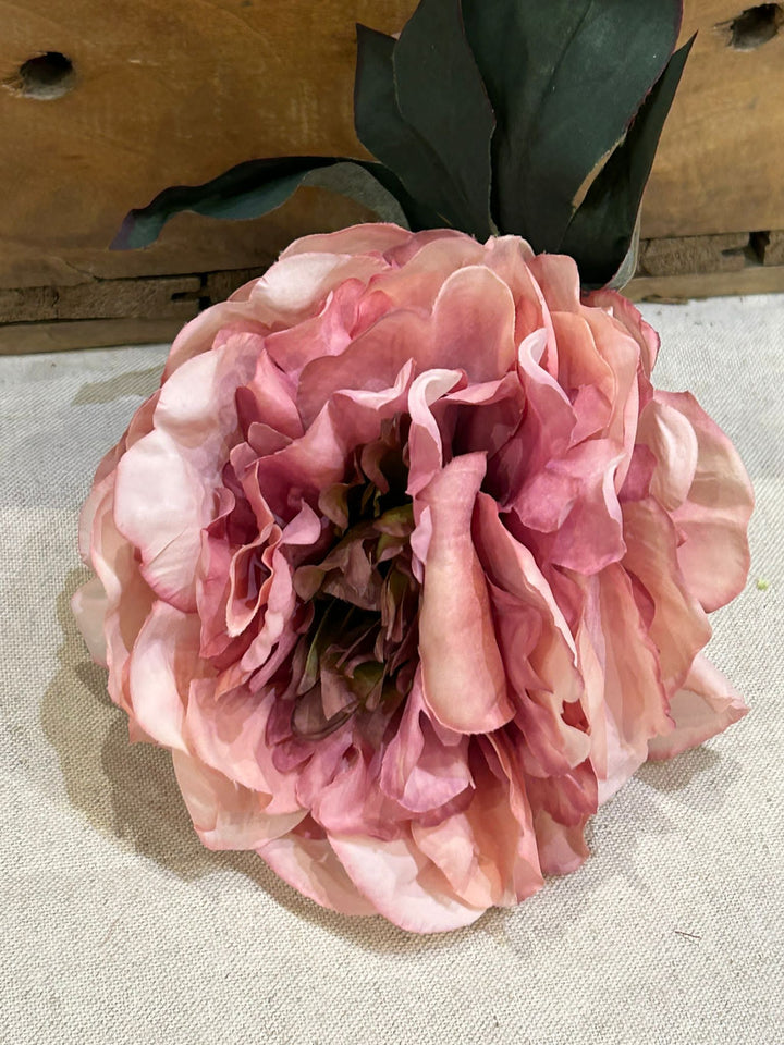 FLOR FLAMENCA