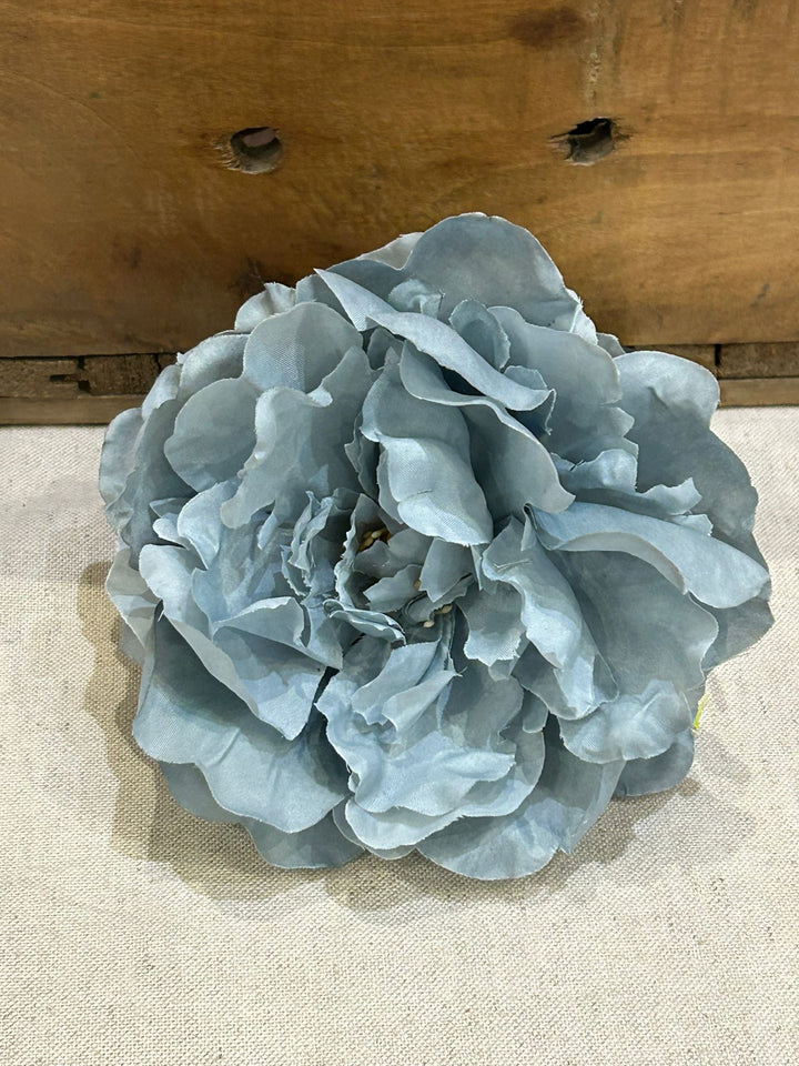 FLOR FLAMENCA