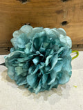 FLOR FLAMENCA
